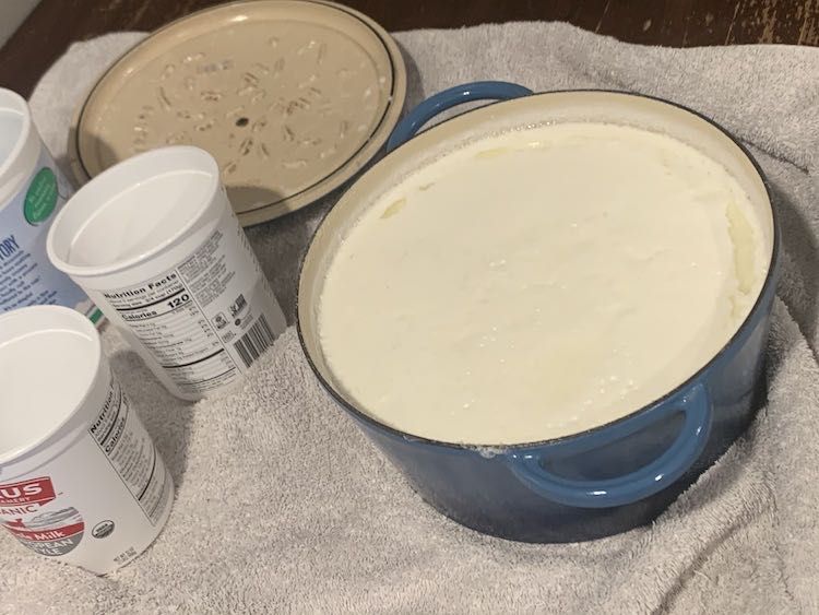 Overview of the Dutch oven, on the right, with a couple off white spots showing where the whey separated from the main yogurt. To the left is the Dutch oven lid, in the back, and the lidless containers waiting for the yogurt. Underneath it all sits the white towel.