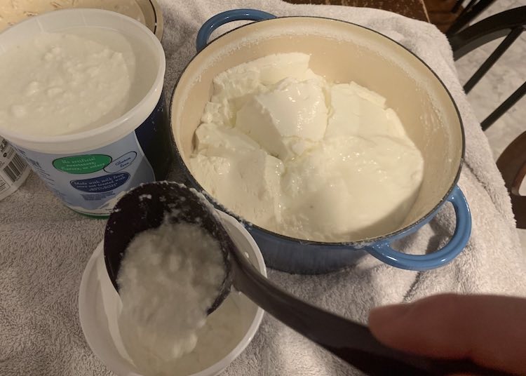 View from above of the Dutch oven half filled with yogurt in clumps within it. To the left is a filled large container of yogurt and, in the foreground, I'm pouring more yogurt into the other container with a purple plastic soup ladle. 