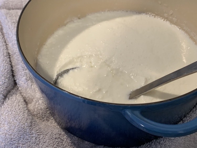 Overview of the Dutch oven sitting on a white towel. Inside of the pot you can see the set yogurt with the metal soup ladle sinking into the yogurt showing whey, white liquid, over top of it. 