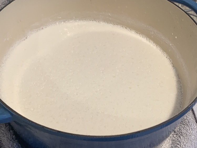 Photo taken from above, and angled, to show the top of the yogurt. You can see the pits in the top showing the bubbles that formed and along the edge you can see how the yogurt sunk a bit overnight. 