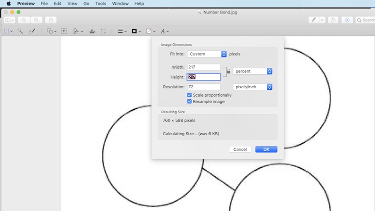 Image shows a zoomed in image of a number bond map with the image dimensions dialog open overtop of it. The height and weight have been changed to 217%. 