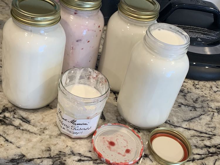 Image shows four 32 ounce canning jars with a small jam jar in front of them. In the background you can see a pressure cooker lid. The one canning jar is pink with chunks of red while the other jars have a white yogurt inside.