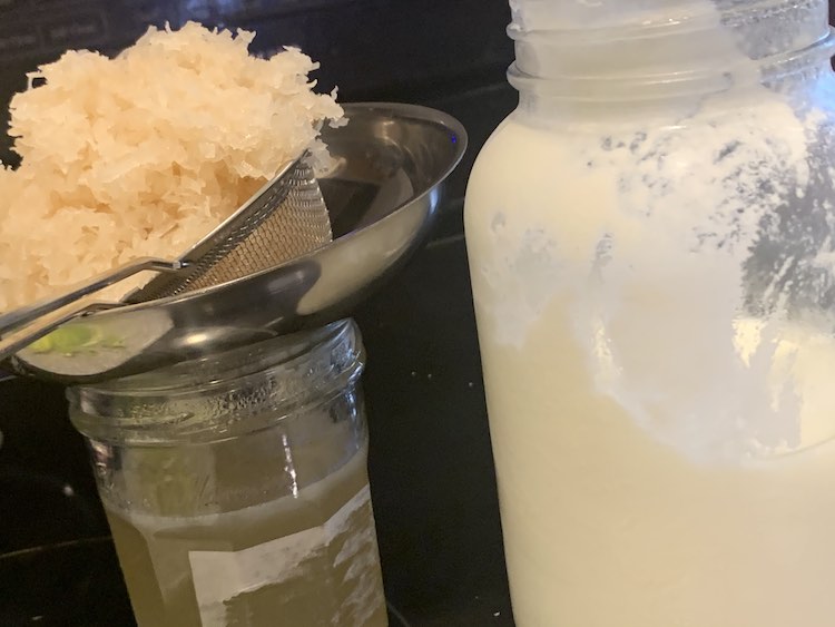 Image shows a portion of a half filled canning jar with yogurt smeared around the inside. To the left sits a canning jar with white-y yellow-ish liquid inside, a white layer at the top, and a funnel, strainer, and pile of flaked coconut on top.
