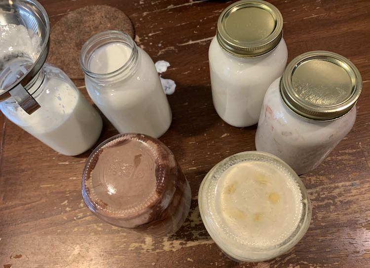 Image is taken mostly from above showing two plain yogurts, one with a funnel in the mouth, lidless to the left. To the right sits the rhubarb and coconut yogurts all mixed up with lids on. In the front two canning jars upside down with dry cocoa powder in the one, with darkened by honey sections on the edges, and honey in the other. In the back there is a cork trivet and spilled yogurt.