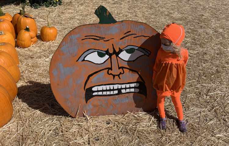 A painted pumpkin looking display with Zoey standing next to it looking back at it. Regular pumpkins lay to the left going off-photo.