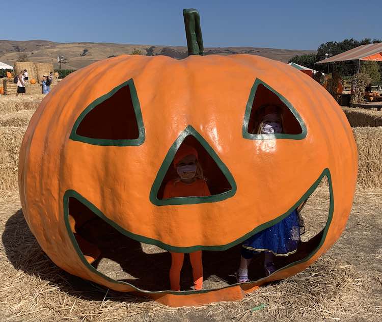 Image shows a metal jack-o-lantern with the girls standing inside of it. Ada is looking out of the one eye while Zoey looks out of the nose. You can see both of their legs through it's open smiling mouth.