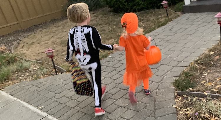 Back view of the girls holding hands and walking towards a house while holding their bags with the other hand. 