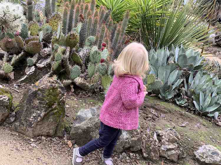 Image shows Zoey turned away from the camera looking at the cactus behind her. 