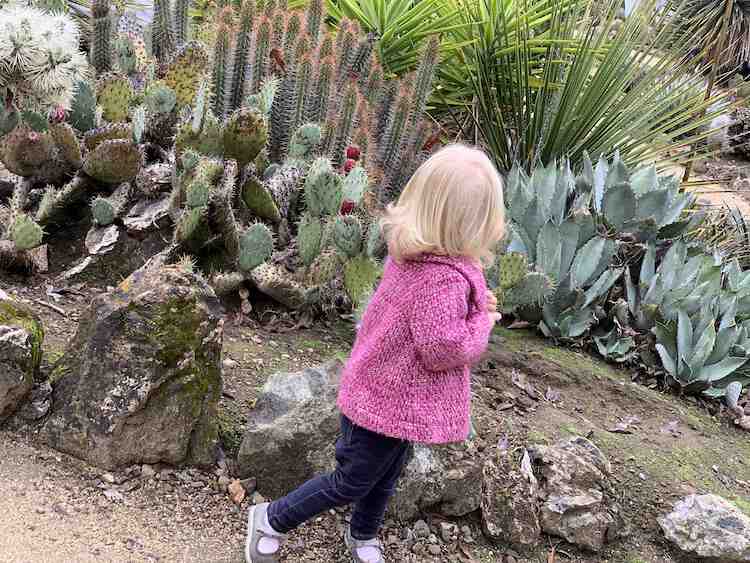 Image shows Zoey turned away from the camera looking at the cactus behind her.