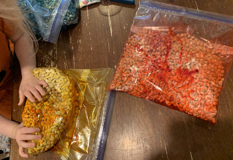 Image shows a view looking down at the table. Zoey's arms are visible as she squishing the yellow bag filled with beans. To the right lays a flattened bag of red beans and in the back there's a blue bag of beans. 