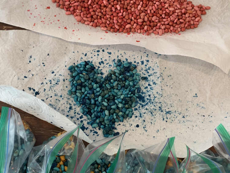 Image shows a blue speckled paper towel with blue beans shaped like a heart laid out on it. Above it sits red beans on a red splatted paper towel. Beneath it sits partially filled plastic bags. 