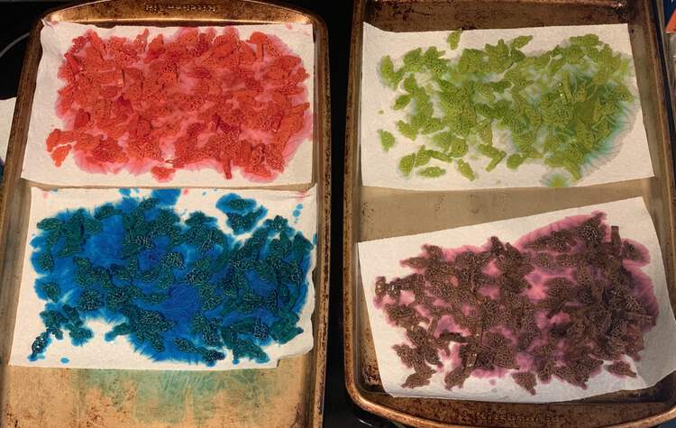 Image shows two cookie sheets side by side each with two rectangles of paper towel on each.. A neon pink, blue, green, and purple dinosaur pasta sits on each one. Surrounding each pasta sits wet and dyed paper towel.