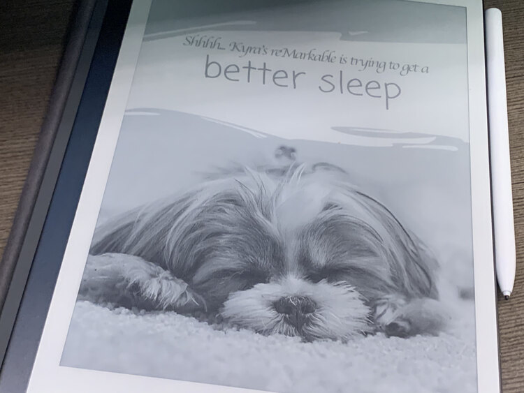 Image shows my reMarkable showing the Canva-created image of a dog sleeping with the words above saying "Shhhh... Kyra's reMarkable is trying to get a better sleep".