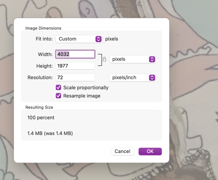 Image shows the popup window associated with the Adjust Size option chosen. Behind it the shirt image is greyed out a bit. The Width field shows 4032 pixels and is highlighted in purple.