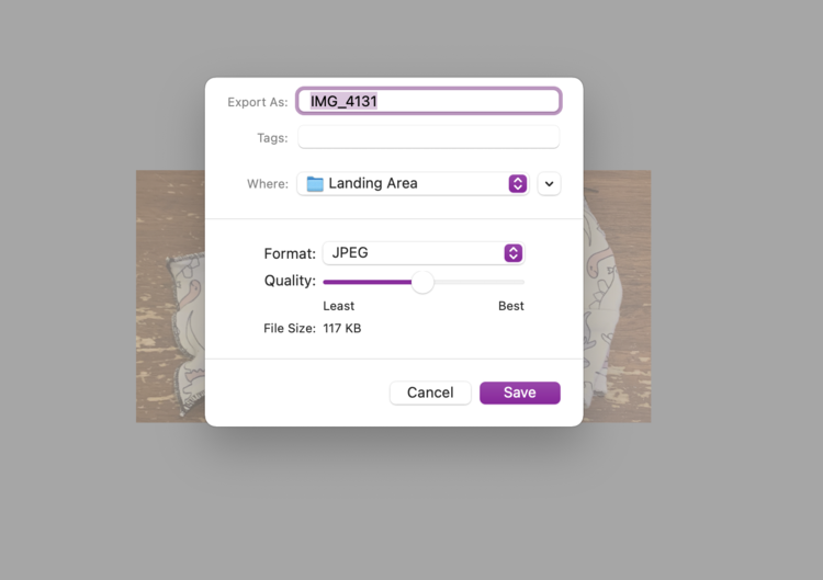 Image shows the Export dialog open blocking the image being export behind it. The Quality slider is set between Least and Best and the File Size says 117 KB.