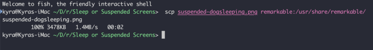 Image shows the fish terminal with my scp transfer completed and the terminal waiting for my next command.