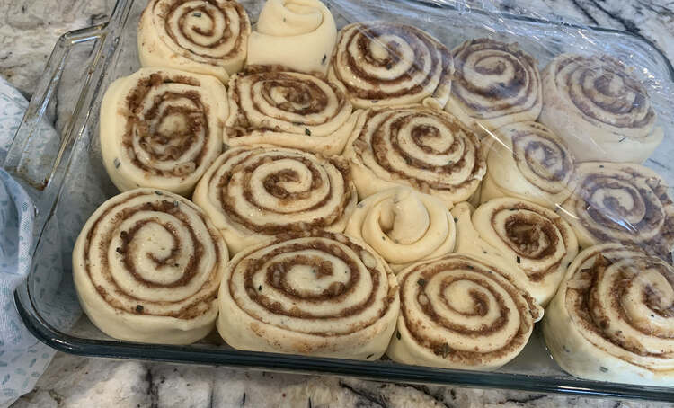 Image shows the apple stuffed cinnamon rolls placed in a glass casserole dish with plastic wrap partially covering them. 