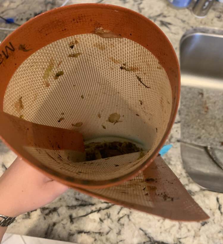 Image is taken from above looking at the food within the rolled up liner. At the bottom you can see a slight bit of blue of a stasher bag.