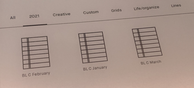 Image shows three calendar months with a lined page as the icon. These are under the "2021" heading. 