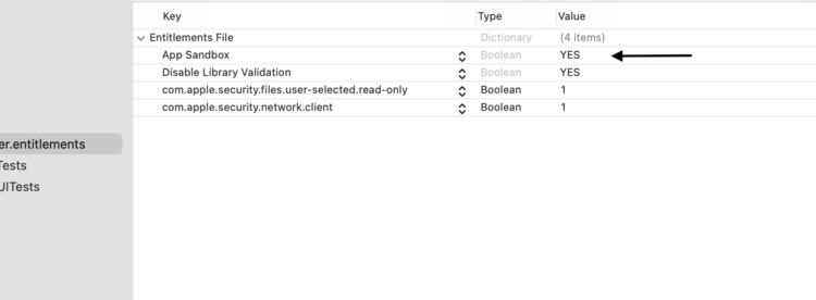 The image shows the end of my selected entitlements file in the Navigator area to the left. On the right there is a table showing the keys, types, and value of several settings under an "Entitlements File" header. 