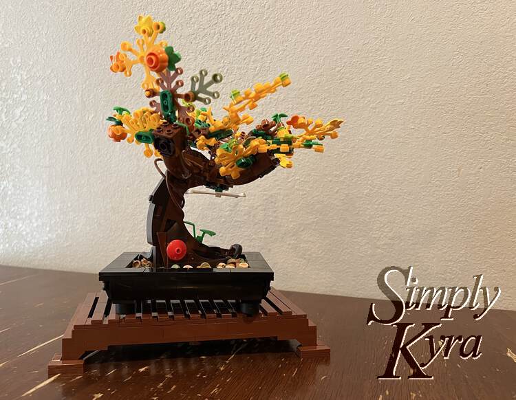 The other side of the autumn bonsai tree.