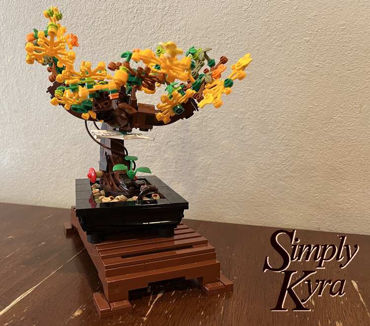 Front view of the autumn bonsai tree. 