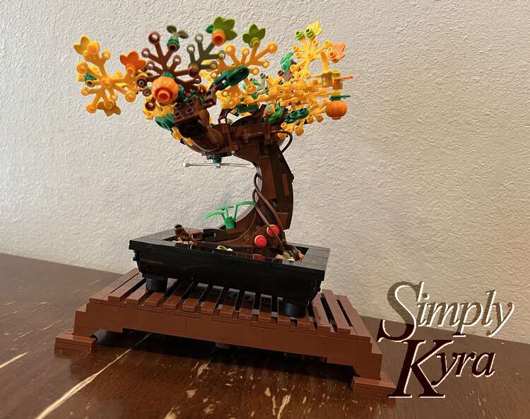 Side view of the autumn bonsai tree.