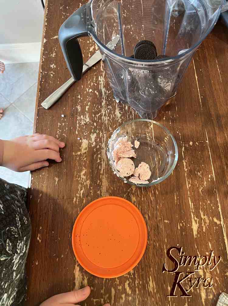 Image shows the blender with the base blearily seen behind it. In front is a clear circular container with pink speckled white stuff in it and and orange lid beside it. You can see the hands of Ada and Zoey's toes to the left of the table. 