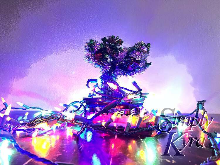 The bonsai surrounded with Christmas lights taken from the base looking up. The light was played at making the background brighter.