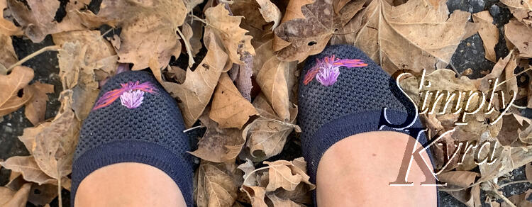Image shows the flats taken from above looking down at them on dead yellowy fallen leaves.