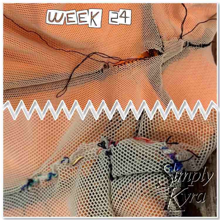 Collage shows two images with a zigzag separating it along the center. The top of the image says "week 24" while the top image shows the opened seam and the bottom the stitched closed seam. 