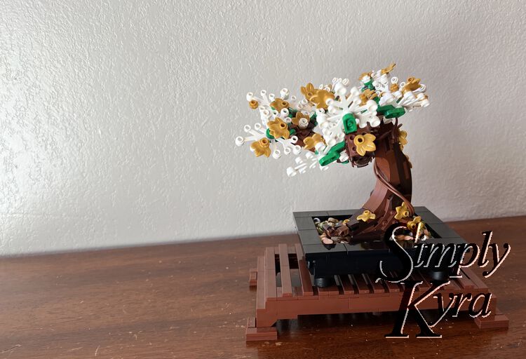 Image is taken from the side showing the left side of the finished bonsai tree showing the gold leaves on its base. 