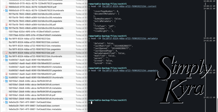 Image is a split screen showing the file dialog with the backed up files on the left and the terminal showing the contents of the files on the right. 