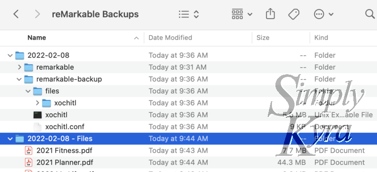 The file dialog is showed again but now there's two PDF files shown within the backed up Files directory.