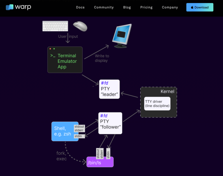 Image is a screenshot from warp's What happens when you open a terminal and enter ‘ls’ article showing a diagram showcasing what happens when the user inputs characters into the terminal on their computer. 