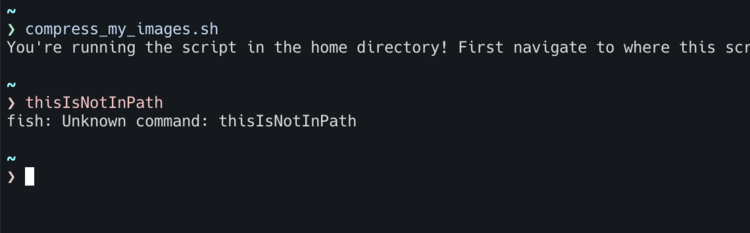 Image shows two commands in my terminal. The first matched an executable file existing in my bin directory and in my $PATH so it executed. The second was not so I received an unknown command error. 